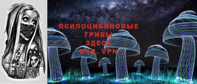 купить наркотики сайты  Вилючинск  Псилоцибиновые грибы MAGIC MUSHROOMS 